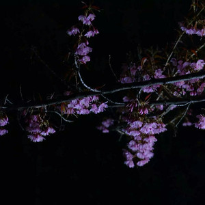 日本肥老妇色xxxxx日本老妇
